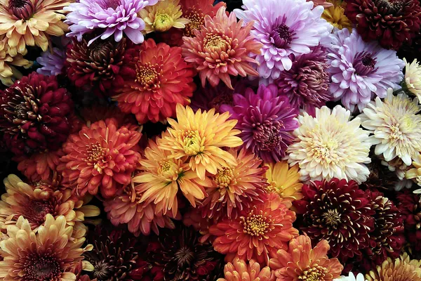 fleurs de deuil 